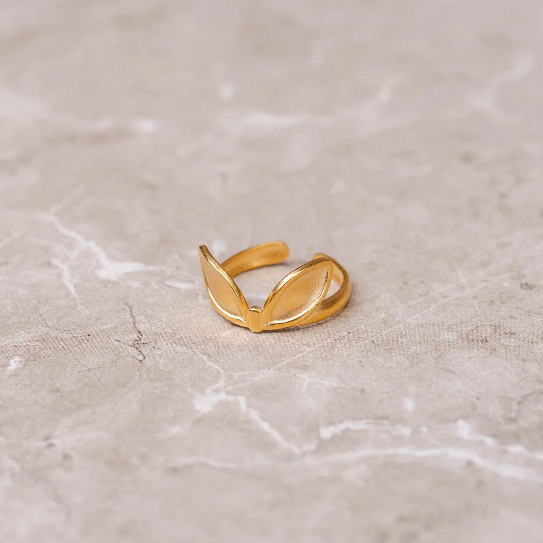 Anel Folhas Ajustável Banhado em Ouro 18K - Murano Joias