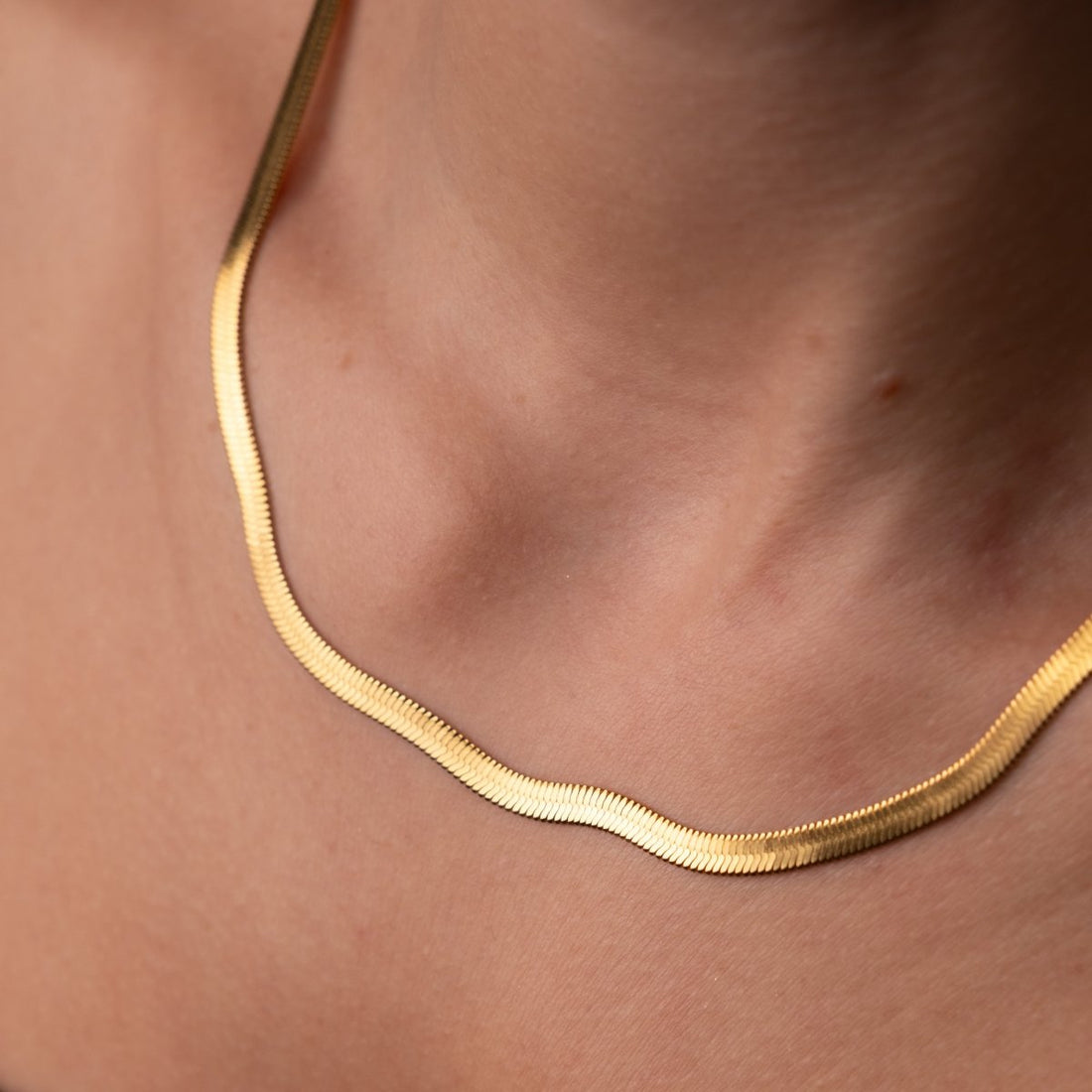 Colar Malha Snake Dourado Banhado em Ouro 18K - Murano Joias